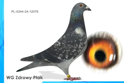 WG Zdrowy Ptak  PL-0344-24-12076