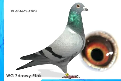 WG Zdrowy Ptak  PL-0344-24-12039