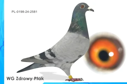 WG Zdrowy Ptak  PL-0198-24-2581