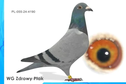 WG Zdrowy Ptak  PL-055-24-4190