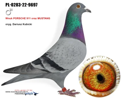 Dariusz Kubicki PL-0283-22-9697