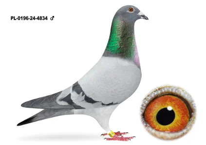 Jan Śliwa PL-0196-24-4834