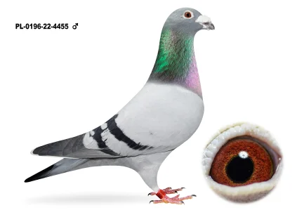 Krzysztof Zoń PL-0196-22-4455