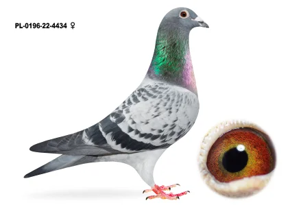 Krzysztof Zoń PL-0196-22-4434
