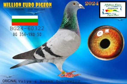 Valya Rosen Dobrevi BG-24-60322