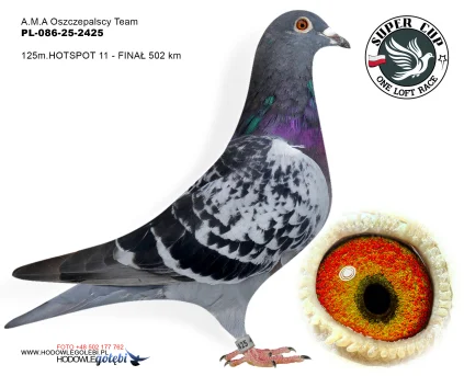 125m./ finał A.M.A Oszczepalscy Team PL-086-25-2425