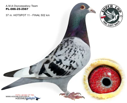 37m./finał A.M.A Oszczepalscy Team PL-086-25-2567