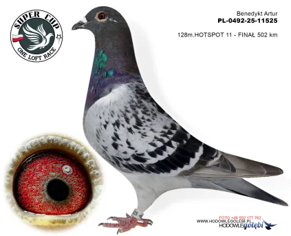 128m./finał Benedykt Artur PL-0492-25-11525
