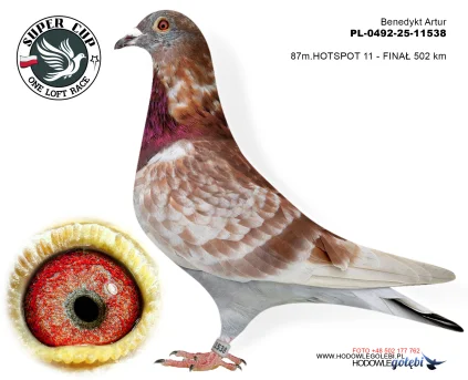 87m./finał Benedykt Artur PL-0492-25-11538