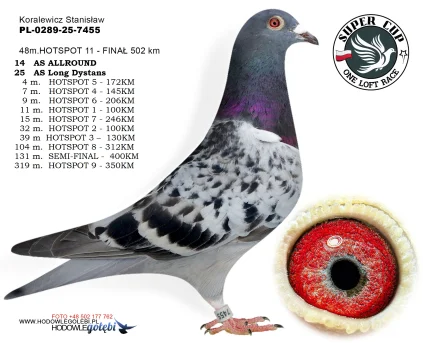 48m./finał Koralewicz Stanisław PL-0289-25-7455