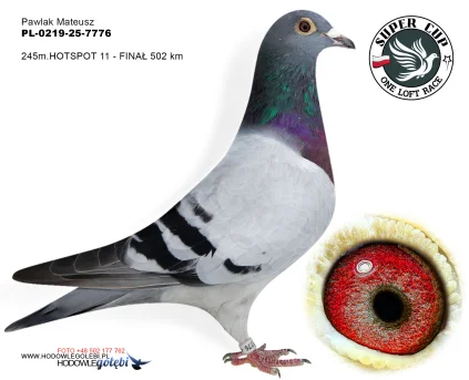 245m./finał Pawlak Mateusz PL-0219-25-7776