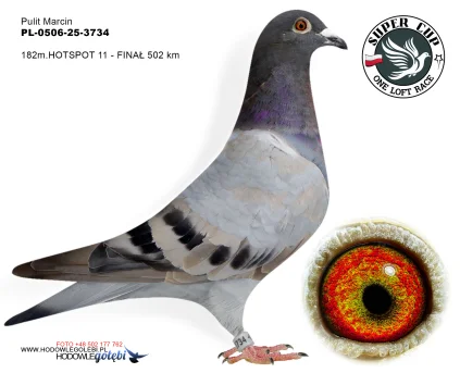 182m./finał Pulit Marcin PL-0506-25-3734