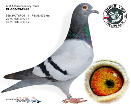95m./finał A.M.A Oszczepalscy Team PL-086-25-2446