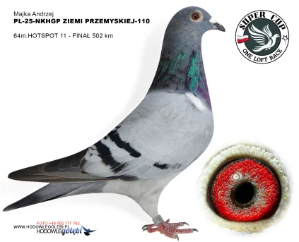 64m./finał Majka Andrzej PL-25-NKHGP ZIEMI PRZEMYSKIEJ-110
