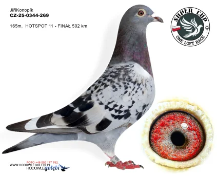 165 m./ finał  Jiri Konopik CZ-25-0344-269