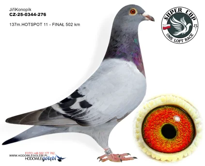 137 m. / finał Jiri Konopik CZ-25-0344-276