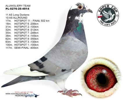 17 m. / finał ALUWOLIERY TEAM PL-0276-25-4914