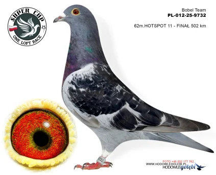  62 m./ finał  Bobel Team  PL-012-25-9732