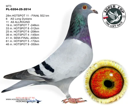  28 m. / finał MT3 PL-0204-25-2014