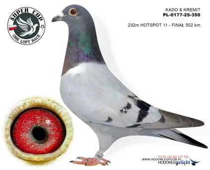 232 m./ finał  KADO & KREMIT PL-0177-25-350
