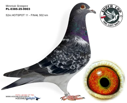 52 m./ finał  Mironiuk Grzegorz  PL-0385-25-9903
