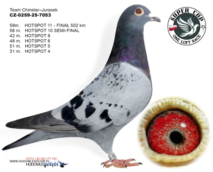 59 m./ finał  Team Chmelar - Jurasek CZ-0259-25-7053