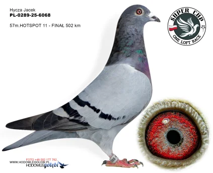 57 m./ finał  Hycza Jacek  PL-0289-25-6068