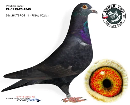 56 m./ finał  Pawlicki Józef PL-0219-25-1549
