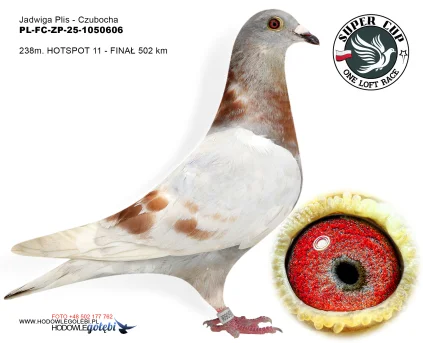 238 m./ finał  Jadwiga Plis - Czubocha PL-FC-ZP-25-1050606