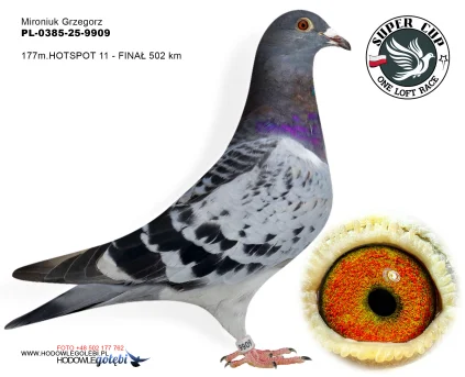 177 m./ finał  Mironiuk Grzegorz PL-0385-25-9909