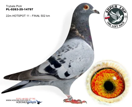 22m/finał Trybała Piotr PL-0263-25-14797