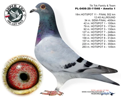 18m./finał Tik Tok Family & Team PL-0406-25-11946