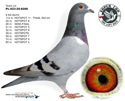 112m./finał Team Lili PL-023-25-8266