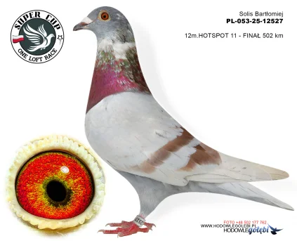 12m./finał Solis Bartłomiej PL-053-25-12527