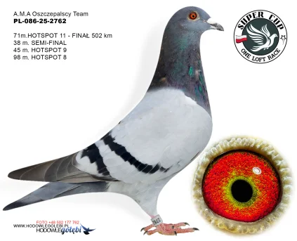 71m./finał A.M.A Oszczepalscy Team PL-086-25-2762