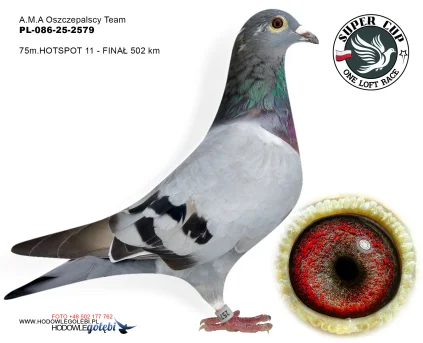 75m./finał A.M.A Oszczepalscy Team PL-086-25-2579