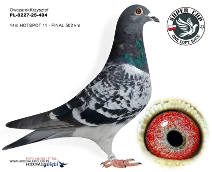14m./finał Owczarek Krzysztof PL-0227-25-404
