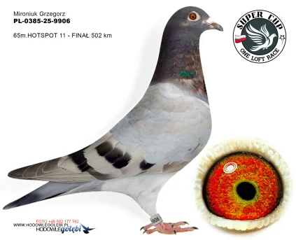 65m./finał Mironiuk Grzegorz PL-0385-25-9906