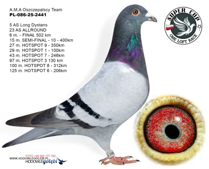 6m./finał A.M.A Oszczepalscy Team PL-086-25-2441