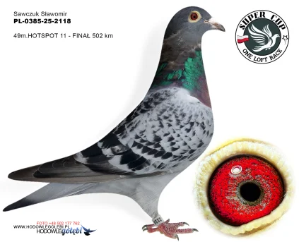 49m./finał Sawczuk Sławomir PL-0385-25-2118