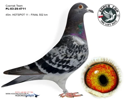 45m./finał Czarnak Team PL-03-25-4711