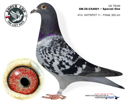 47m./finał UK TEAM GB-25-C54601