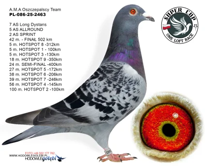 42M../finał A.M.A Oszczepalscy Team PL-086-25-2463