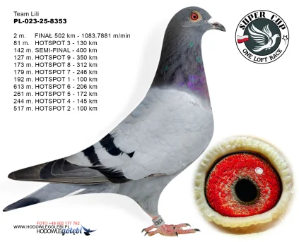 2m./finał Team Lili PL-023-25-8353