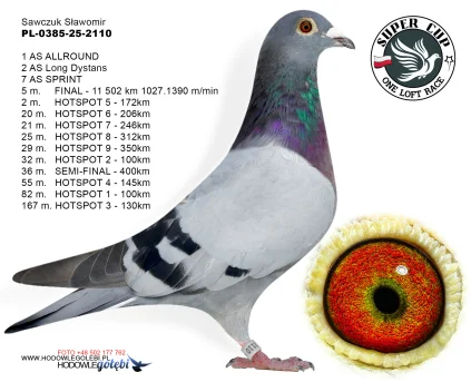 5m./finał Sawczuk Sławomir PL-0385-25-2110