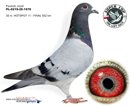 35m./finał Pawlicki Józef PL-0219-25-1576
