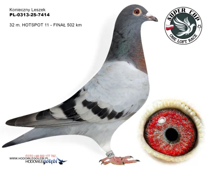 32m./finał Konieczny Leszek PL-0313-25-7414