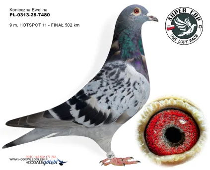 9m./finał Konieczna Ewelina PL-0313-25-7480