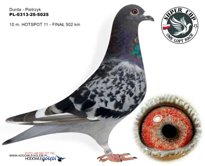 10m./finał Durda - Pietrzyk PL-0313-25-5025
