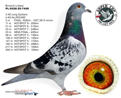 3m./finał Borzych Łukasz PL-0426-25-7449
